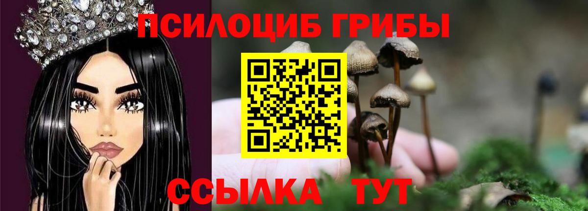 Псилоцибиновые грибы Евпатория